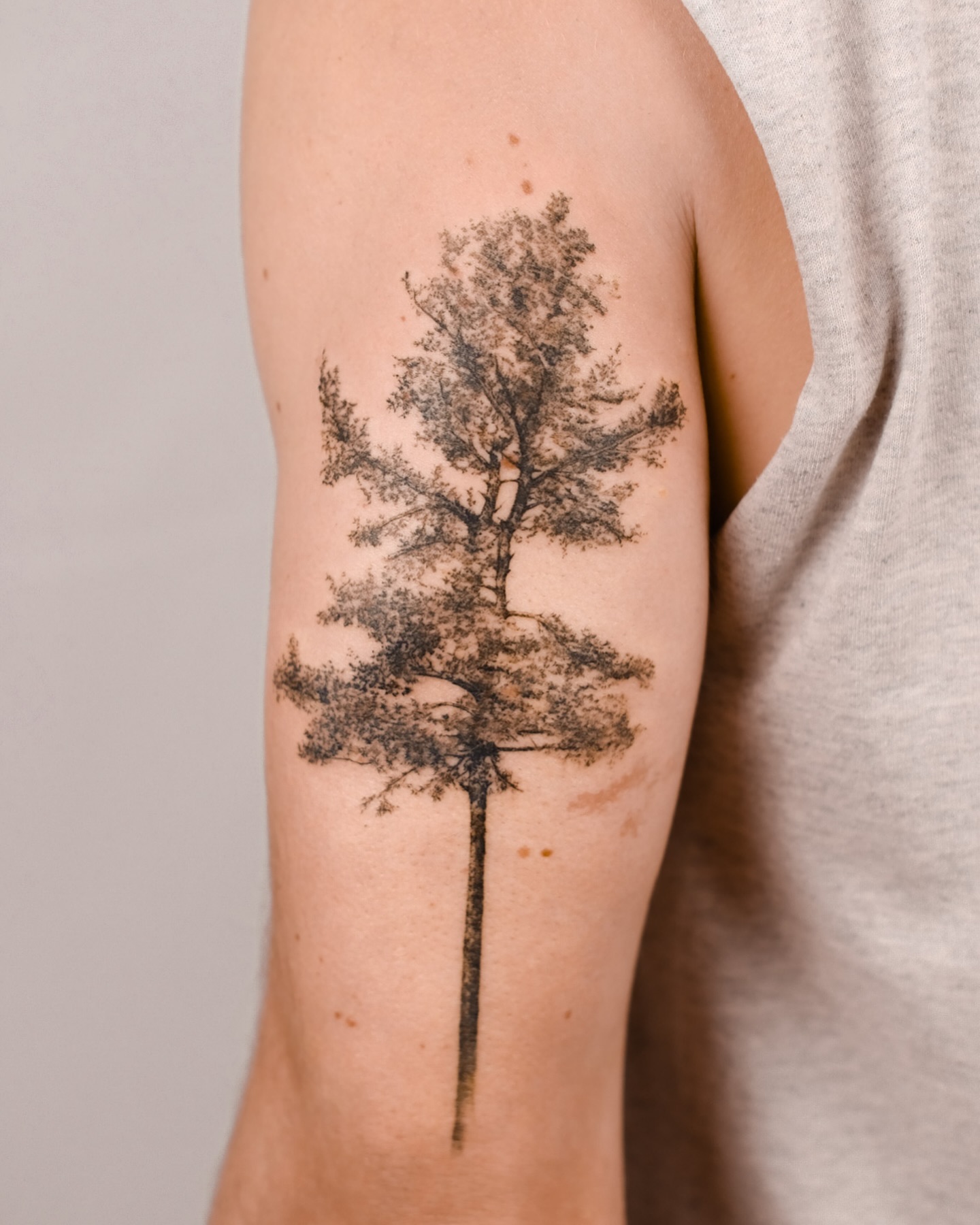 30 Tree Tattoo Ideas 2026: Inspiring Designs That Celebrate Nature, Growth, and Timeless Symbolism