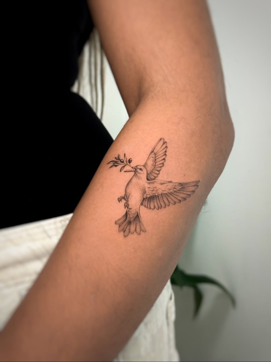29 Dove Tattoo Ideas 2026: Meaningful Designs That Celebrate Peace, Freedom, and Hope