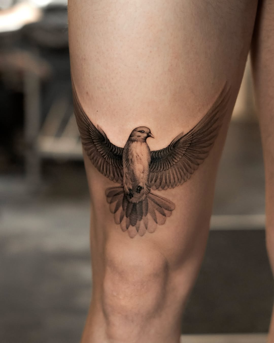 29 Dove Tattoo Ideas 2026: Meaningful Designs That Celebrate Peace, Freedom, and Hope