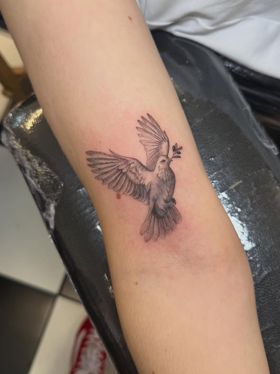 29 Dove Tattoo Ideas 2026: Meaningful Designs That Celebrate Peace, Freedom, and Hope
