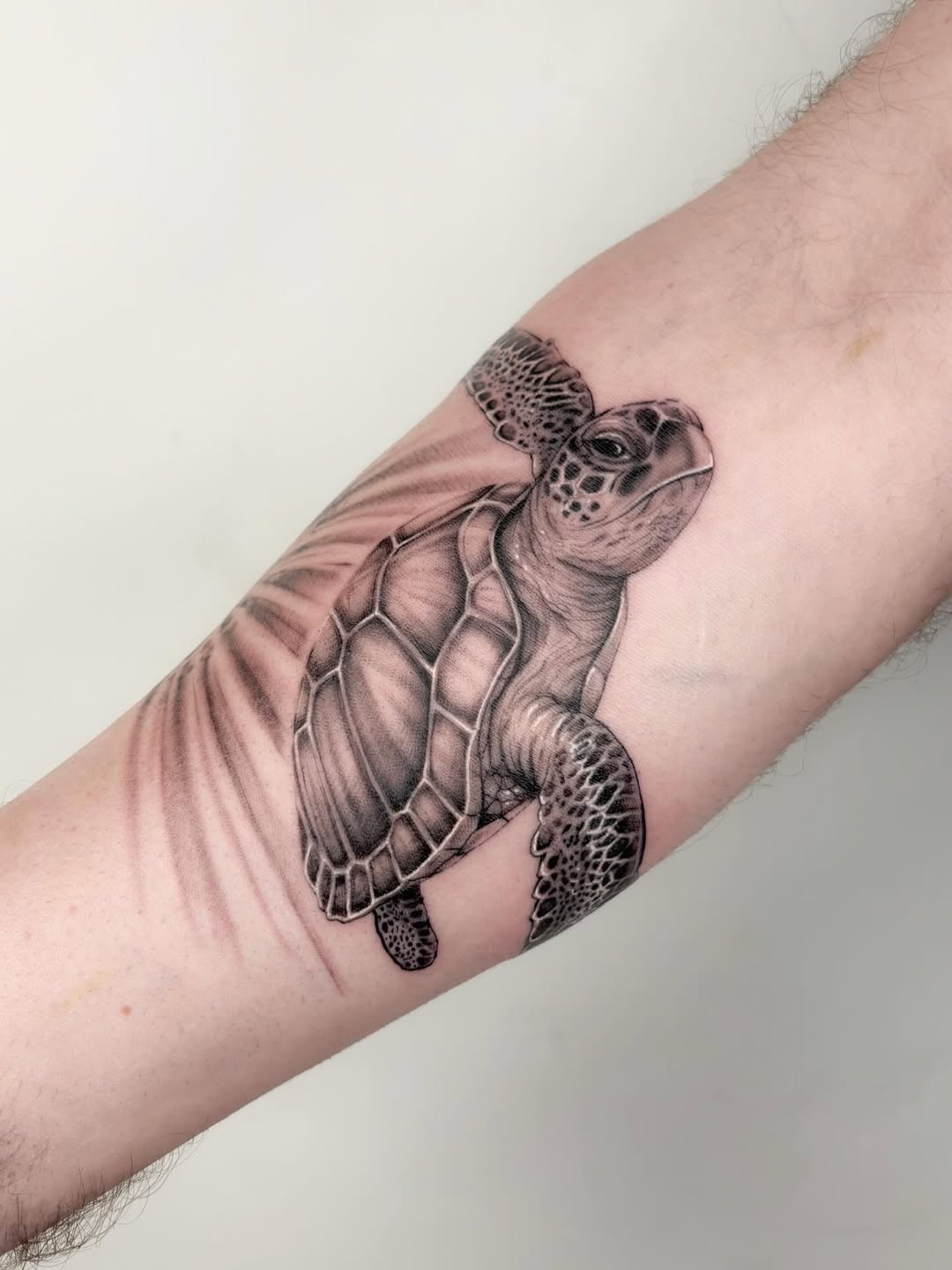 29 Sea Turtle Tattoo Ideas 2026: Meaningful Designs Inspired by the Ocean