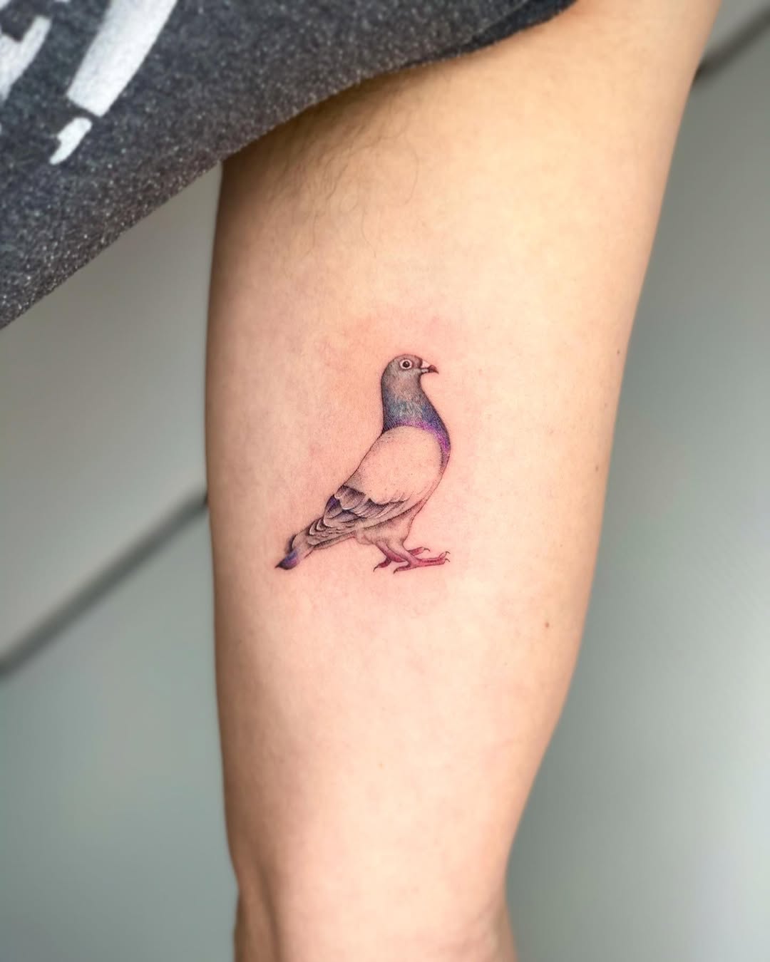 29 Dove Tattoo Ideas 2026: Meaningful Designs That Celebrate Peace, Freedom, and Hope