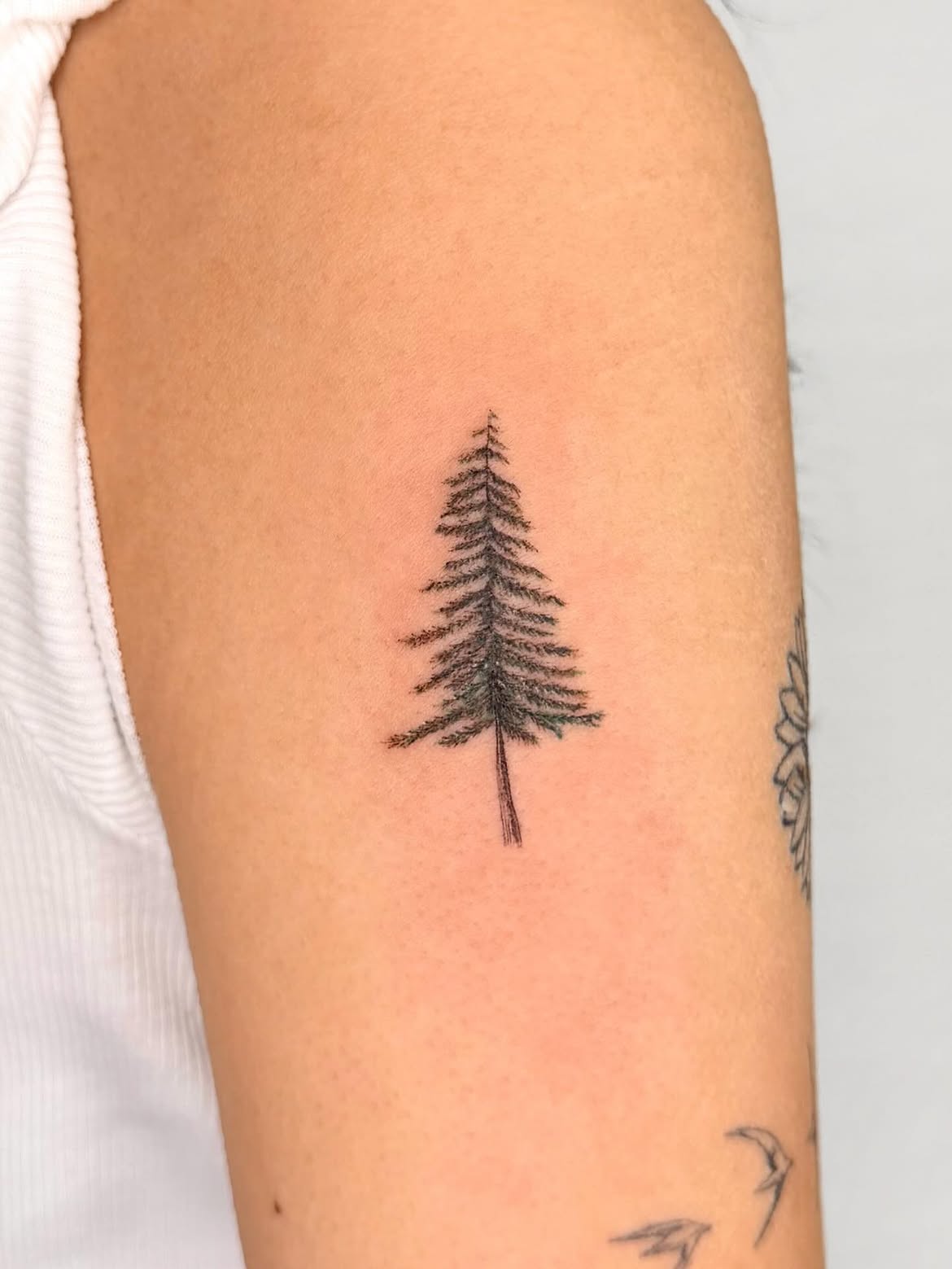 30 Tree Tattoo Ideas 2026: Inspiring Designs That Celebrate Nature, Growth, and Timeless Symbolism