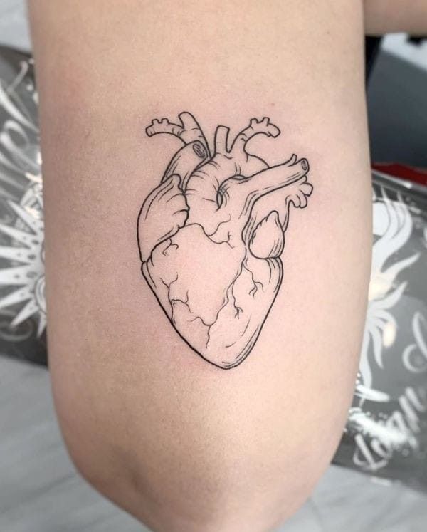 30 Heart Tattoo Ideas 2026: Meaningful Designs That Turn Emotion Into Art