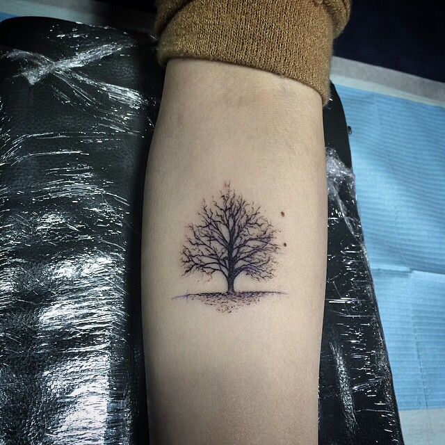 30 Tree Tattoo Ideas 2026: Inspiring Designs That Celebrate Nature, Growth, and Timeless Symbolism