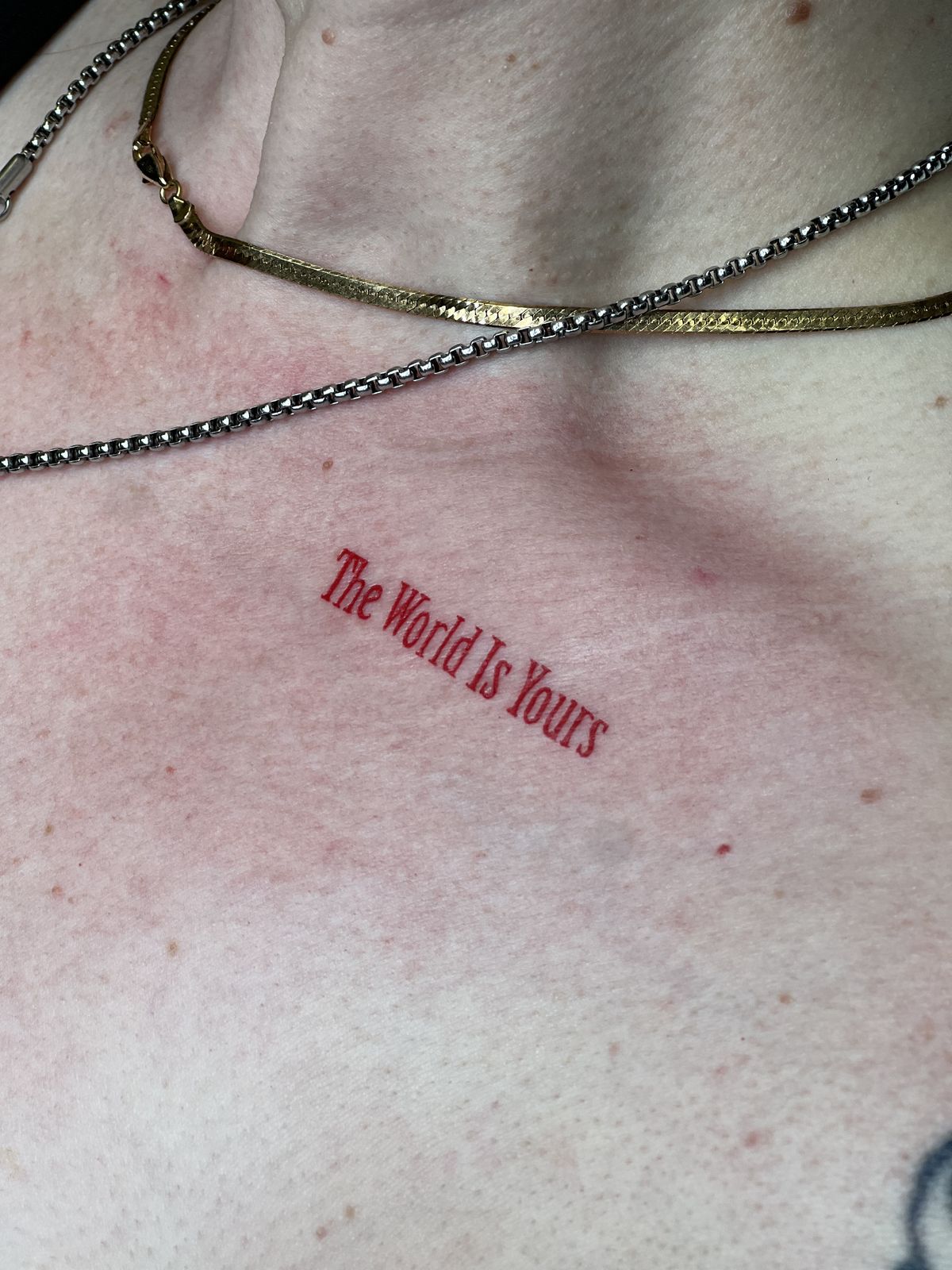 The World Is Yours Tattoo Ideas 2026: 28 Meaningful Designs That Turn a Famous Quote Into Personal Art