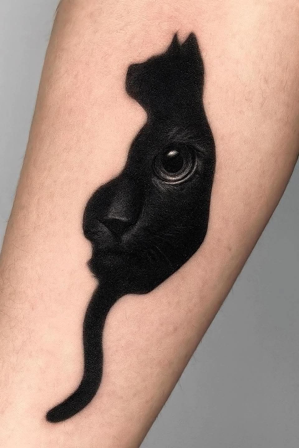 28 Cat Tattoo Ideas 2026: Creative Designs for Every Cat Lover