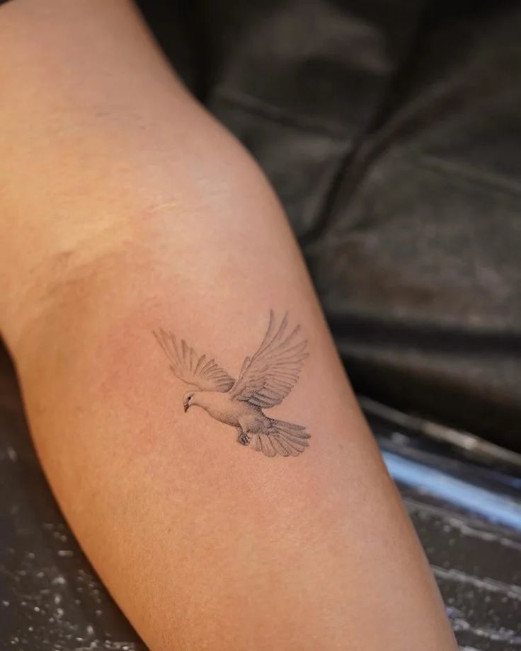 29 Dove Tattoo Ideas 2026: Meaningful Designs That Celebrate Peace, Freedom, and Hope