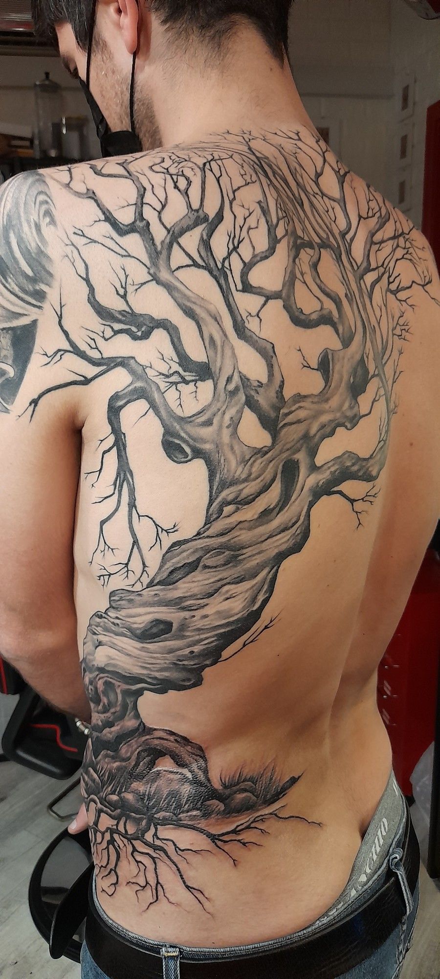 30 Tree of Life Tattoo Ideas 2026: Meaningful Designs, Celtic Roots, and Modern Ink Inspiration