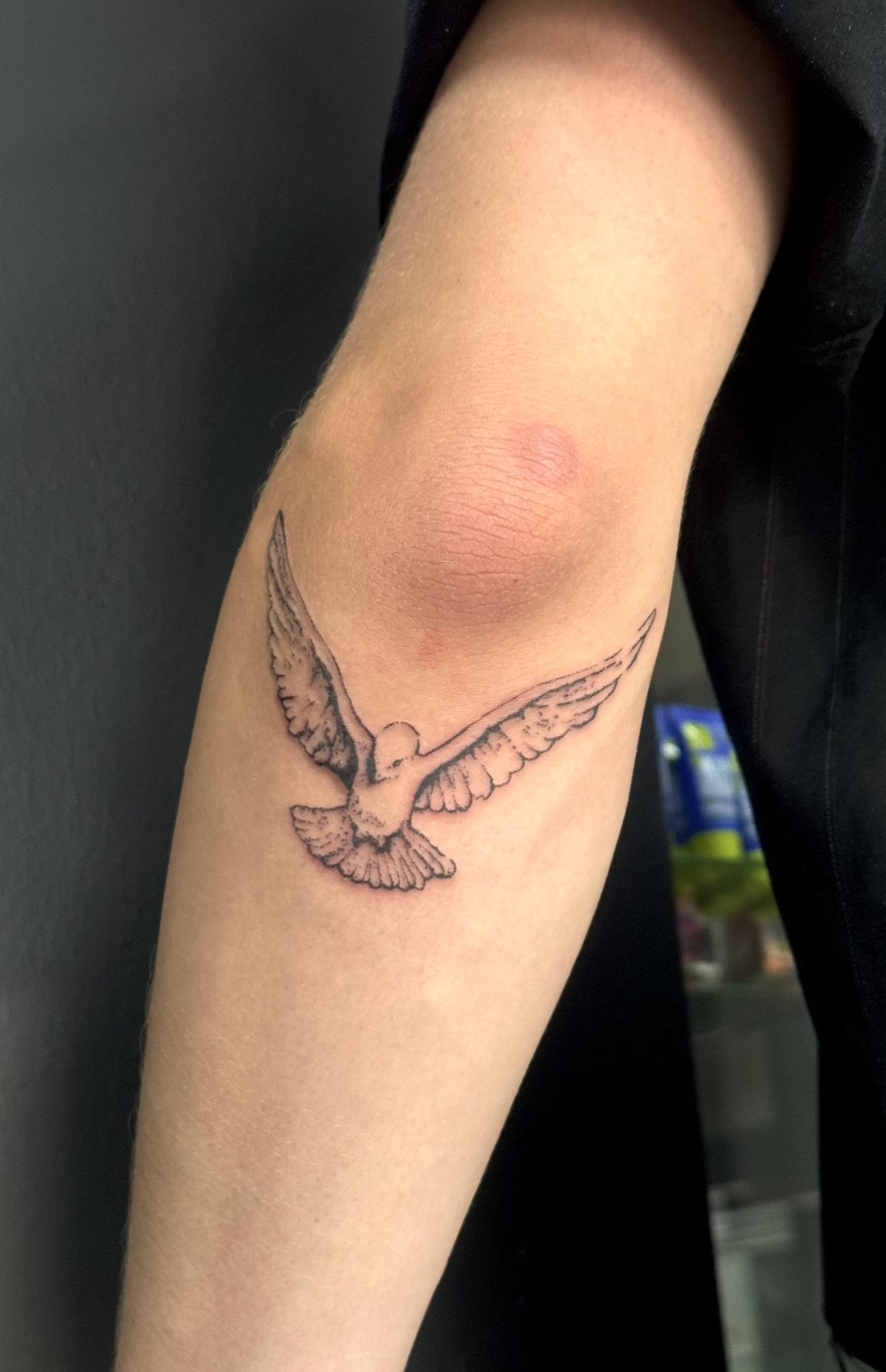 29 Dove Tattoo Ideas 2026: Meaningful Designs That Celebrate Peace, Freedom, and Hope