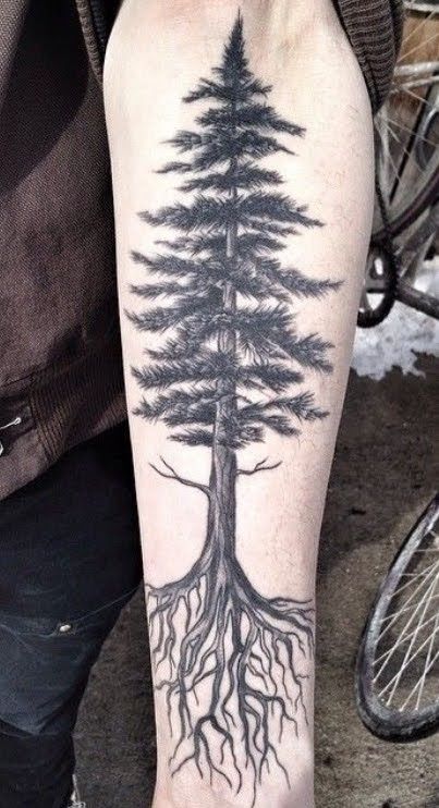 30 Tree Tattoo Ideas 2026: Inspiring Designs That Celebrate Nature, Growth, and Timeless Symbolism