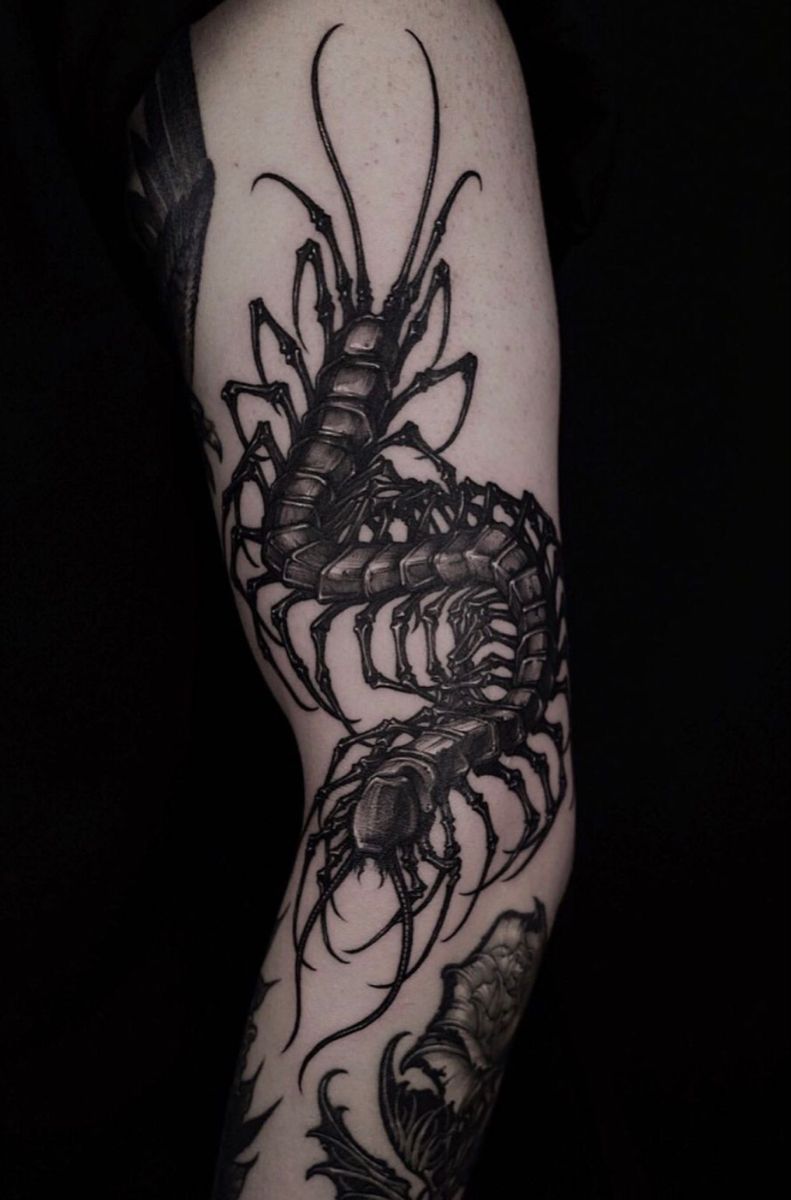 30 Centipede Tattoo Ideas 2026: Dark, Traditional and Blackwork Designs