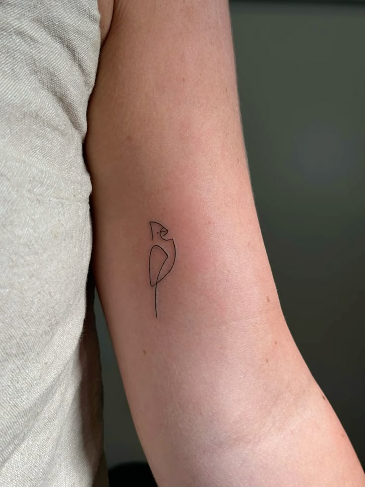 29 Cardinal Tattoo Ideas 2026: Beautiful Red Bird Designs Full of Meaning