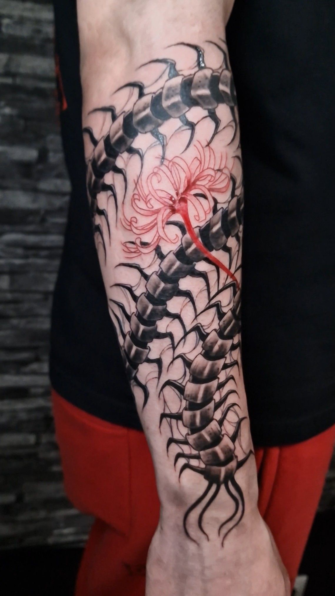30 Centipede Tattoo Ideas 2026: Dark, Traditional and Blackwork Designs