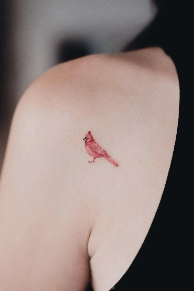 29 Cardinal Tattoo Ideas 2026: Beautiful Red Bird Designs Full of Meaning