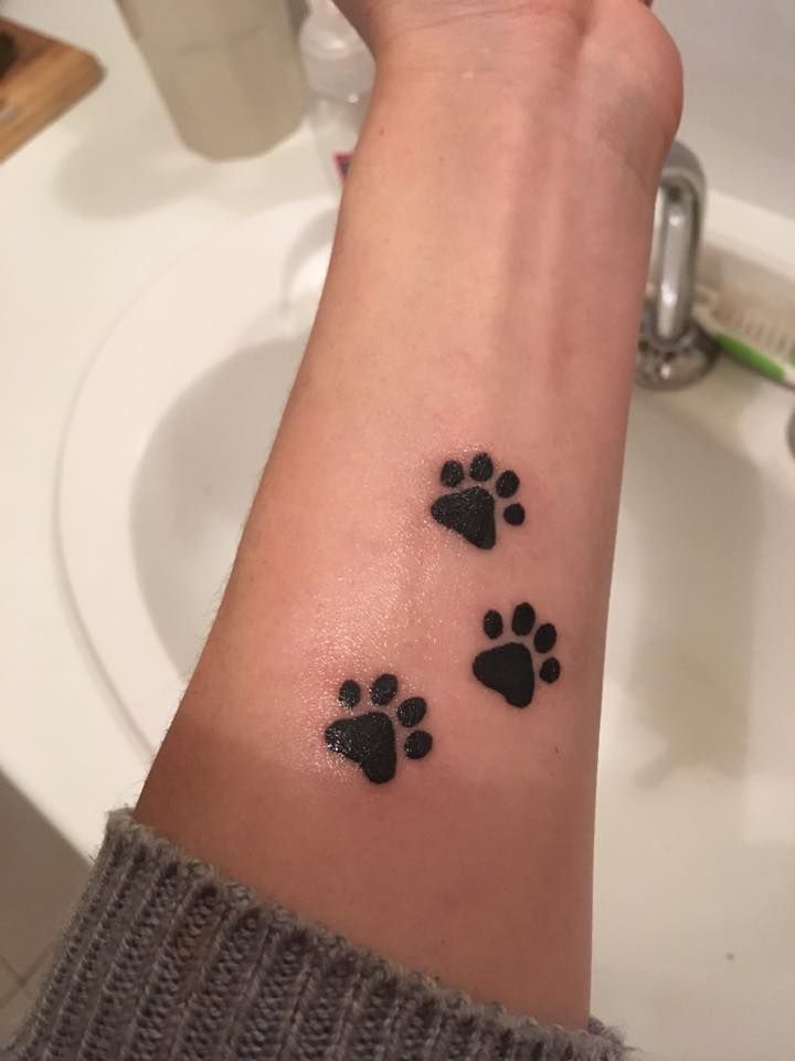 31 Paw Print Tattoo Ideas 2026: Heartwarming Designs That Celebrate Your Furry Best Friend