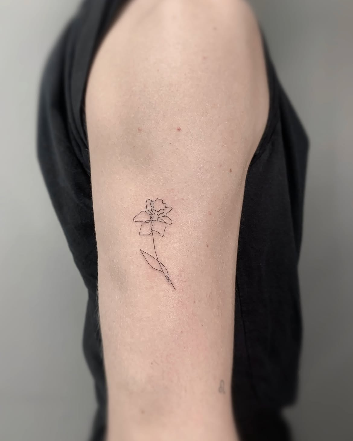 28 Daffodil Tattoo Ideas 2026: Beautiful Designs That Celebrate New Beginnings