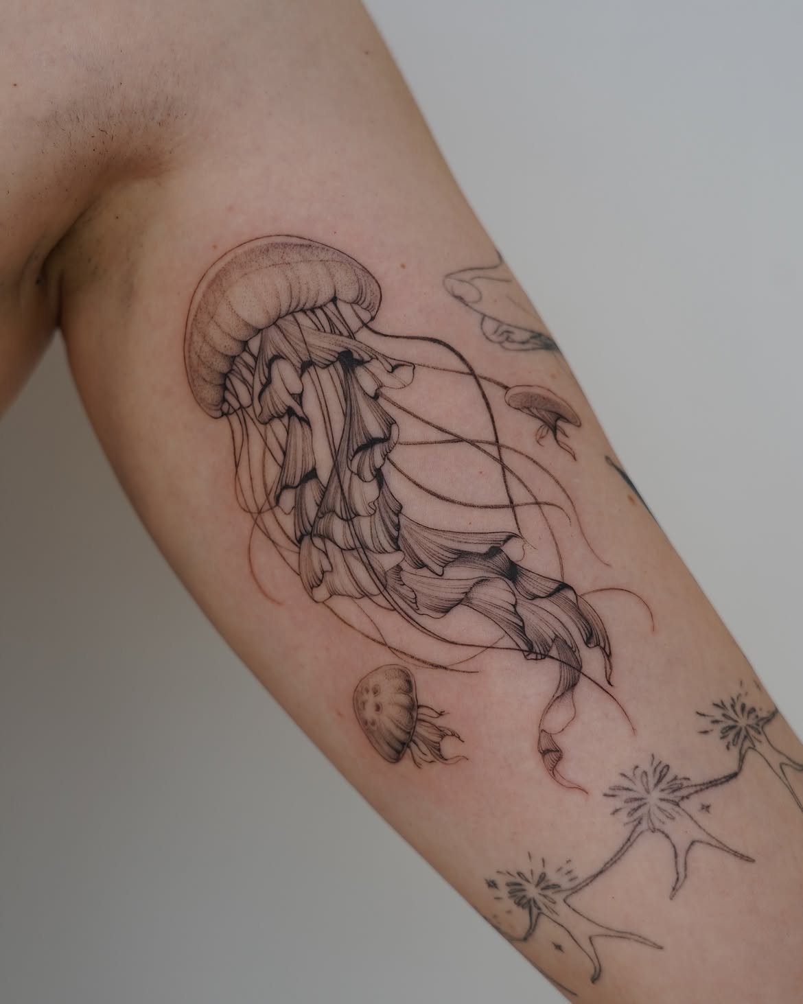 28 Jellyfish Tattoo Ideas 2026: Elegant Designs with Meaning and Ocean Inspiration