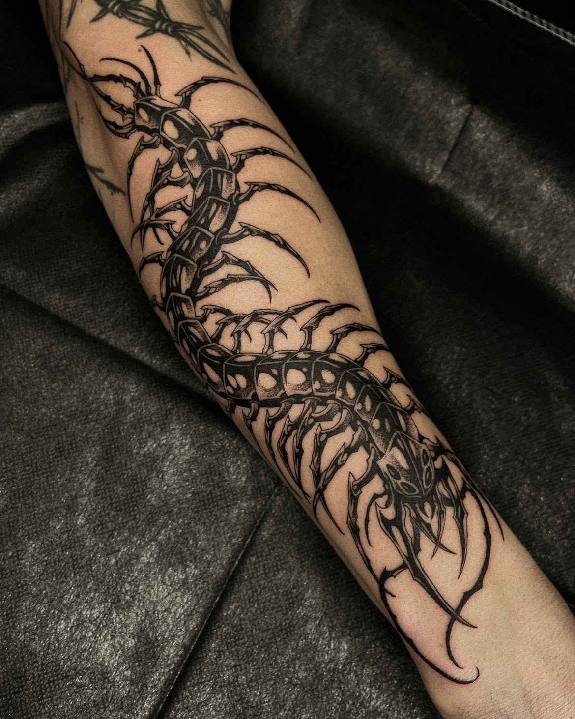 30 Centipede Tattoo Ideas 2026: Dark, Traditional and Blackwork Designs
