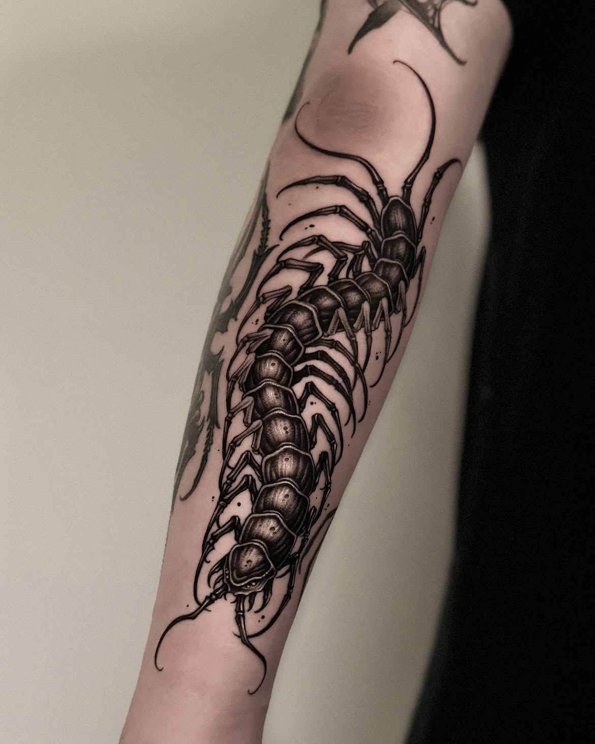 30 Centipede Tattoo Ideas 2026: Dark, Traditional and Blackwork Designs