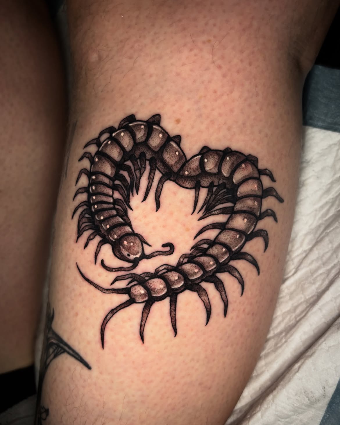 30 Centipede Tattoo Ideas 2026: Dark, Traditional and Blackwork Designs