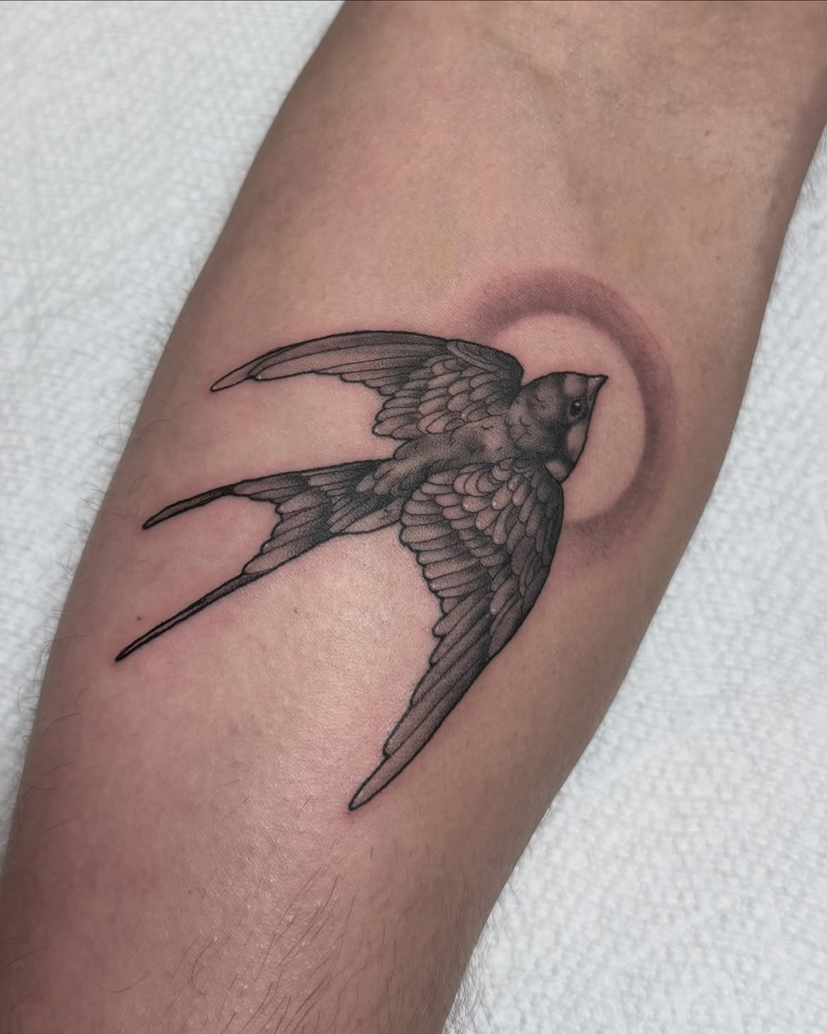 28 Sparrow Tattoo Ideas 2026: Fine Line, Traditional and Meaningful Designs