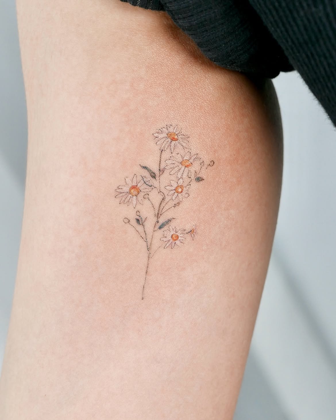 29 Daisy Tattoo Ideas 2026: Beautiful Designs Full of Meaning, Simplicity, and Timeless Charm