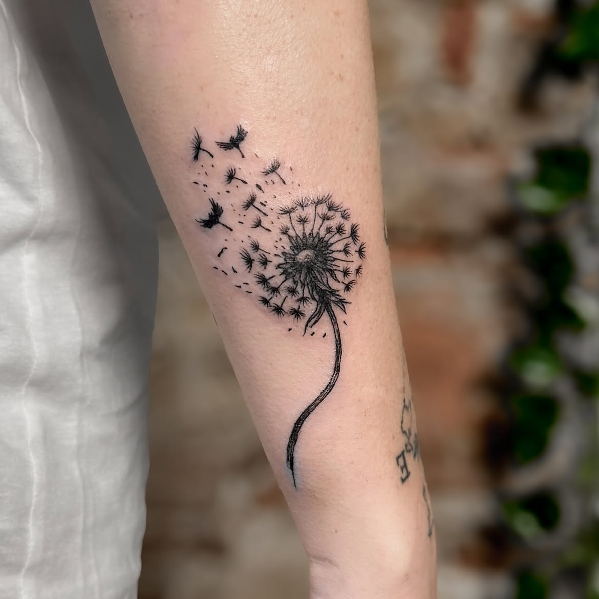 29 Dandelion Tattoo Ideas 2026: Delicate Designs That Capture Freedom, Change, and New Beginnings