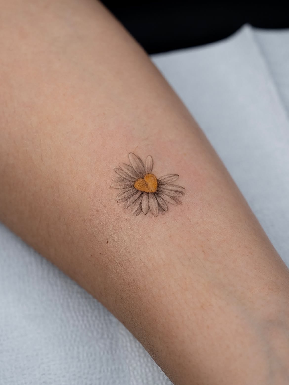 29 Daisy Tattoo Ideas 2026: Beautiful Designs Full of Meaning, Simplicity, and Timeless Charm