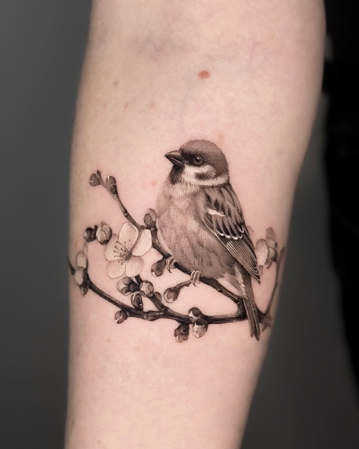 28 Sparrow Tattoo Ideas 2026: Fine Line, Traditional and Meaningful Designs