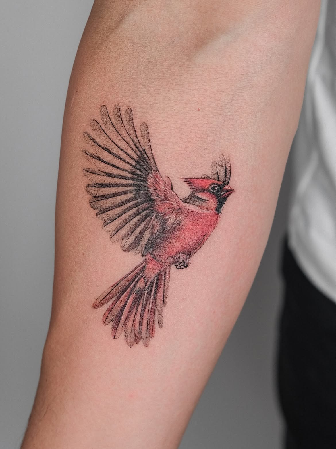 29 Cardinal Tattoo Ideas 2026: Beautiful Red Bird Designs Full of Meaning