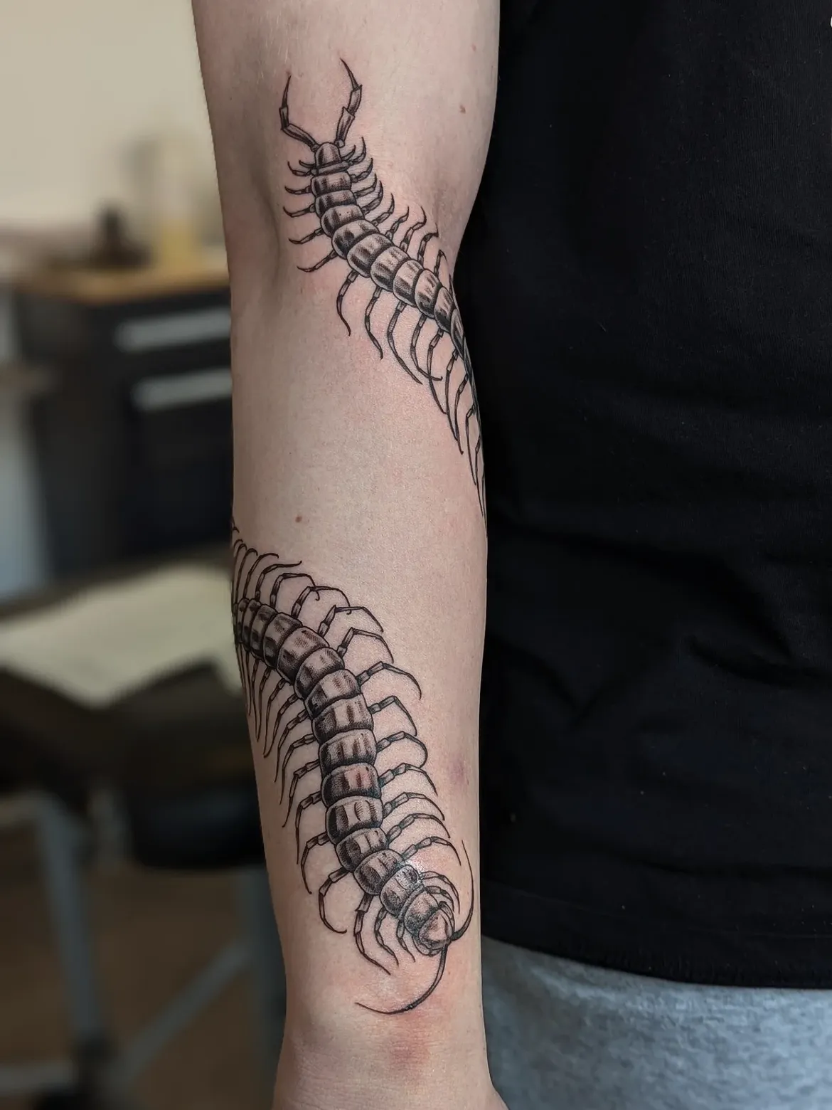 30 Centipede Tattoo Ideas 2026: Dark, Traditional and Blackwork Designs