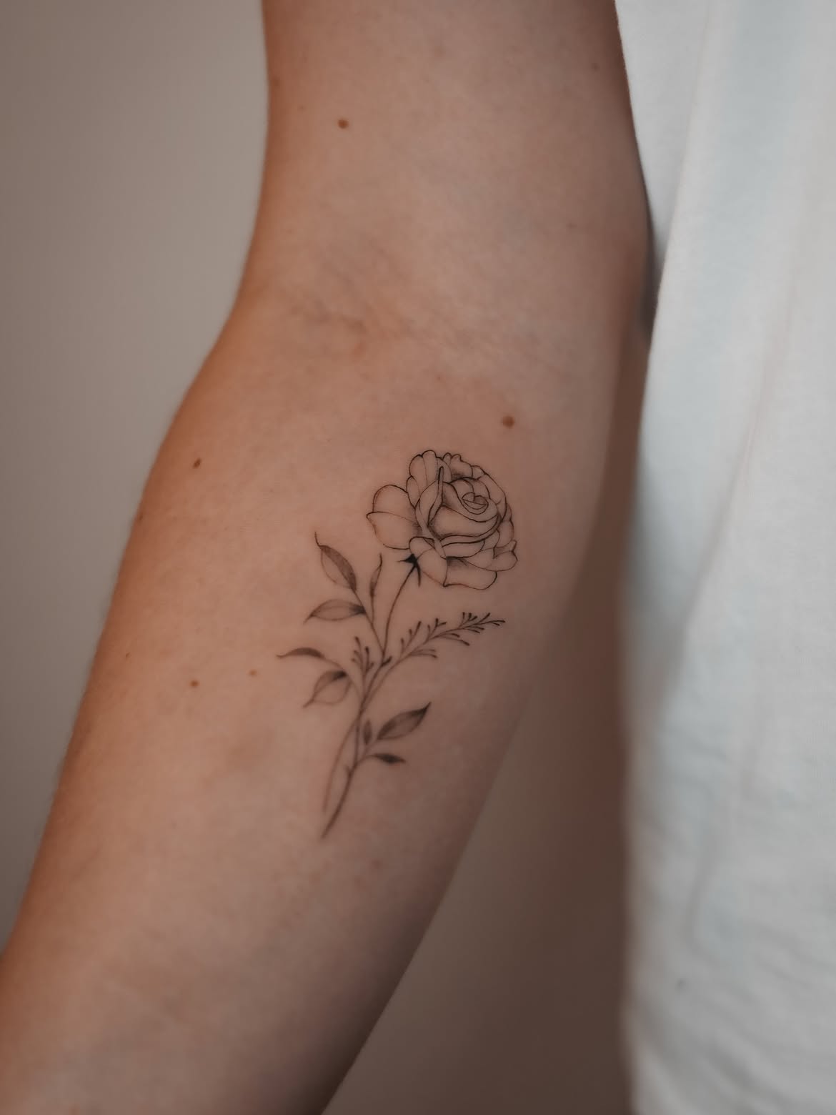 31 Rose Tattoo Designs 2026: Beautiful Ideas for Every Style, Placement, and Personality