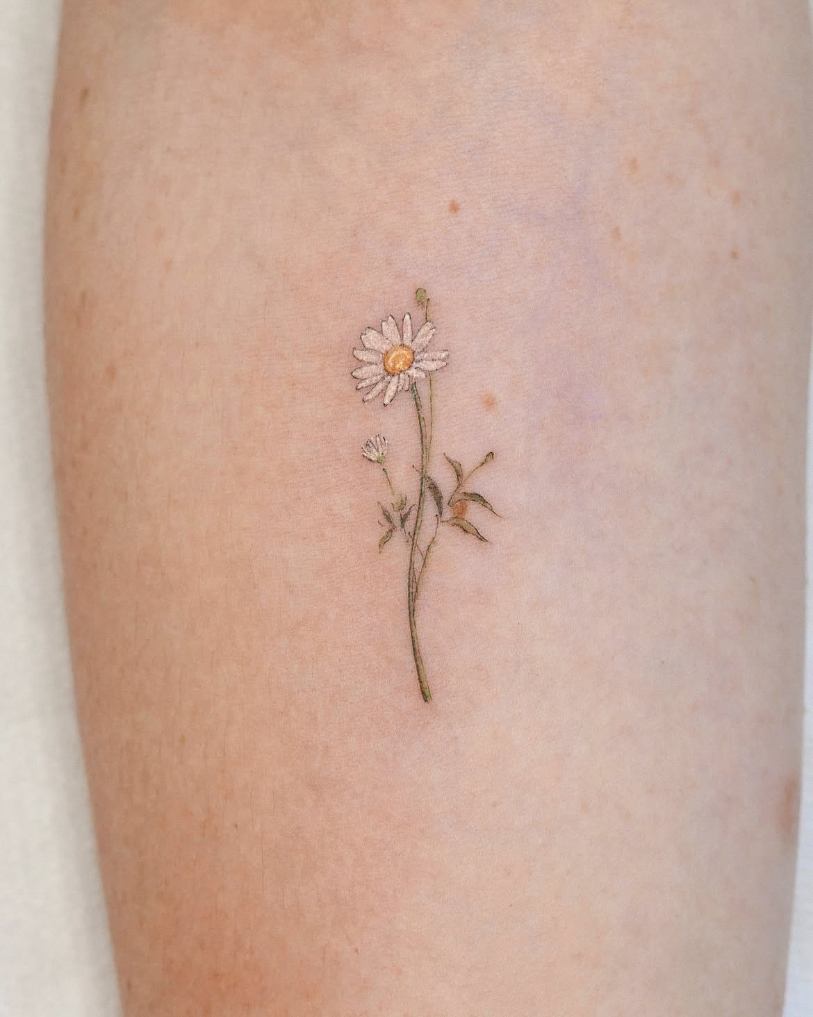 29 Daisy Tattoo Ideas 2026: Beautiful Designs Full of Meaning, Simplicity, and Timeless Charm