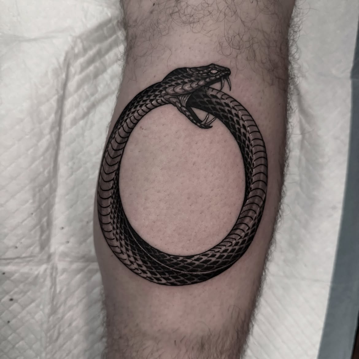 30 Ouroboros Tattoo Ideas 2026: Timeless Designs That Blend Ancient Symbolism With Modern Ink