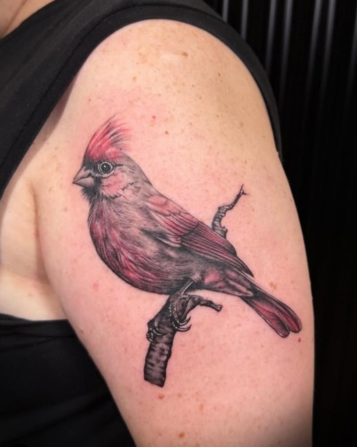 29 Cardinal Tattoo Ideas 2026: Beautiful Red Bird Designs Full of Meaning