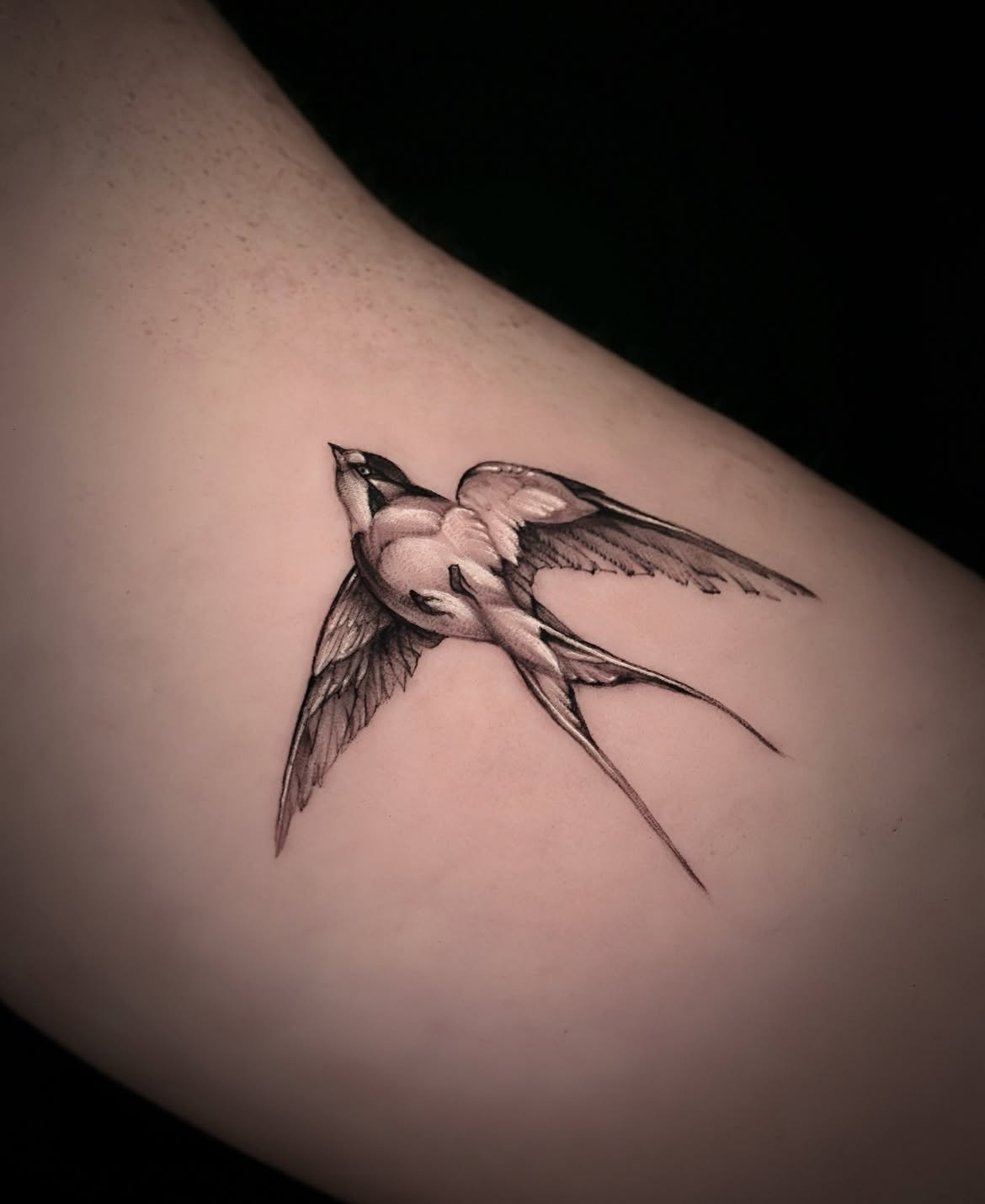 28 Sparrow Tattoo Ideas 2026: Fine Line, Traditional and Meaningful Designs