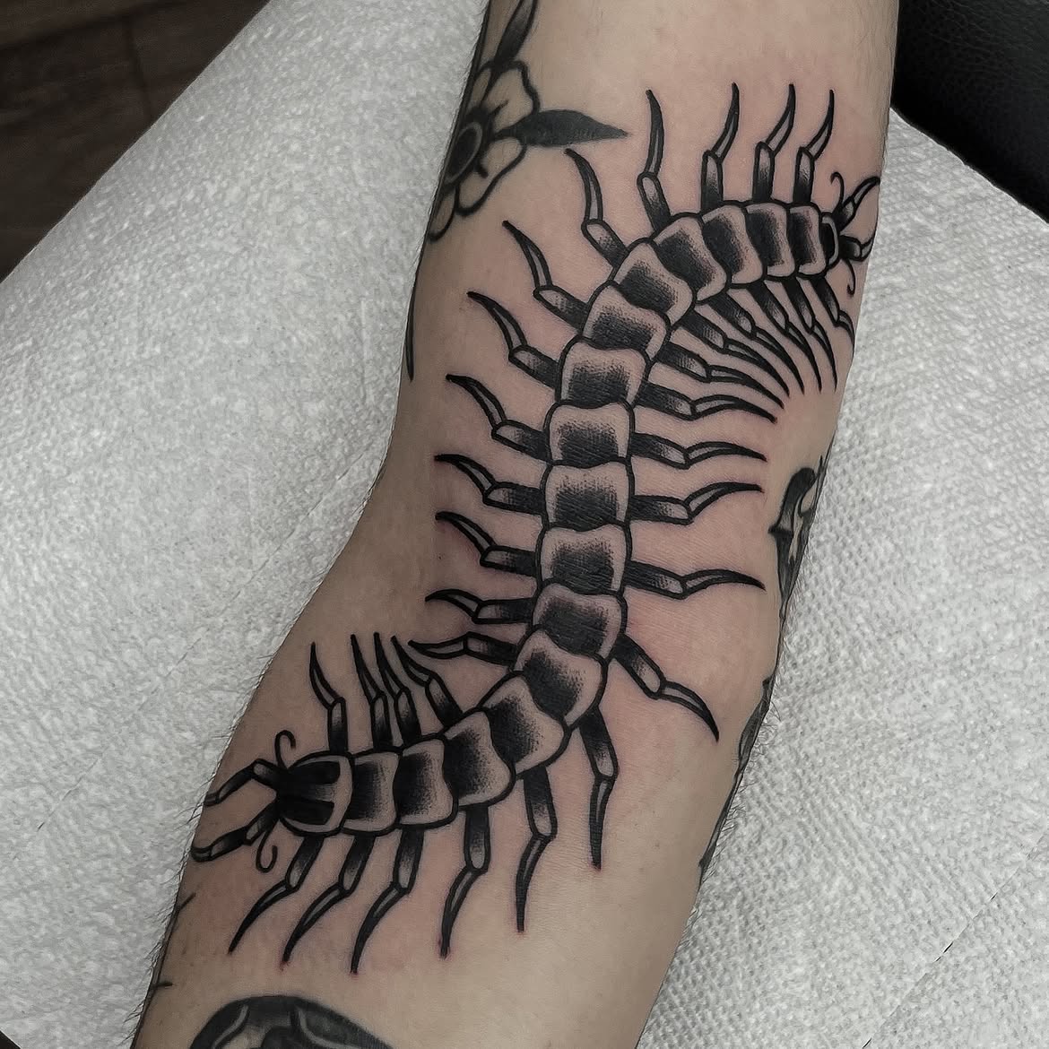 30 Centipede Tattoo Ideas 2026: Dark, Traditional and Blackwork Designs