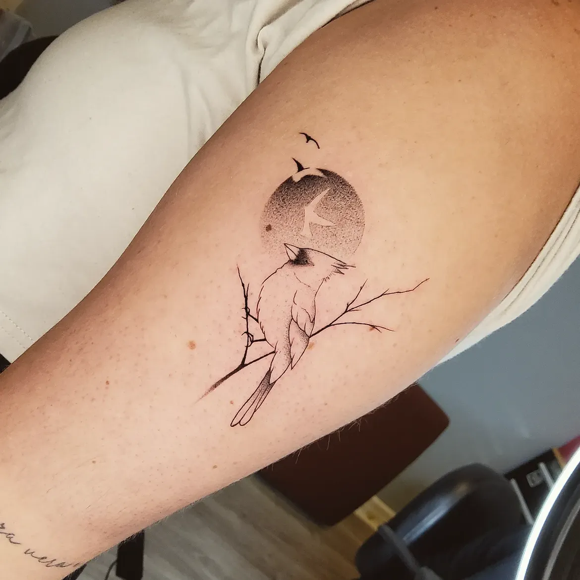 29 Cardinal Tattoo Ideas 2026: Beautiful Red Bird Designs Full of Meaning