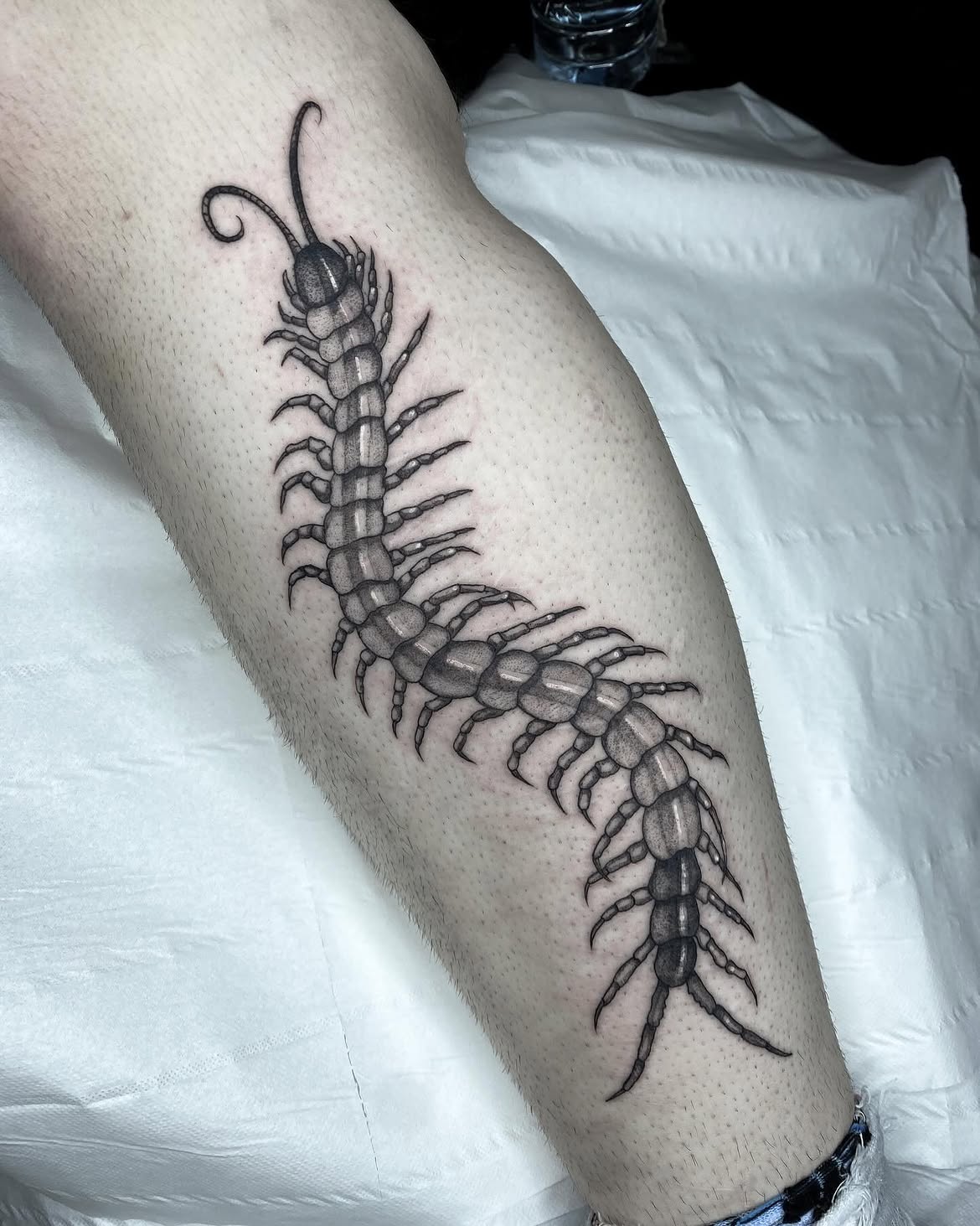 30 Centipede Tattoo Ideas 2026: Dark, Traditional and Blackwork Designs
