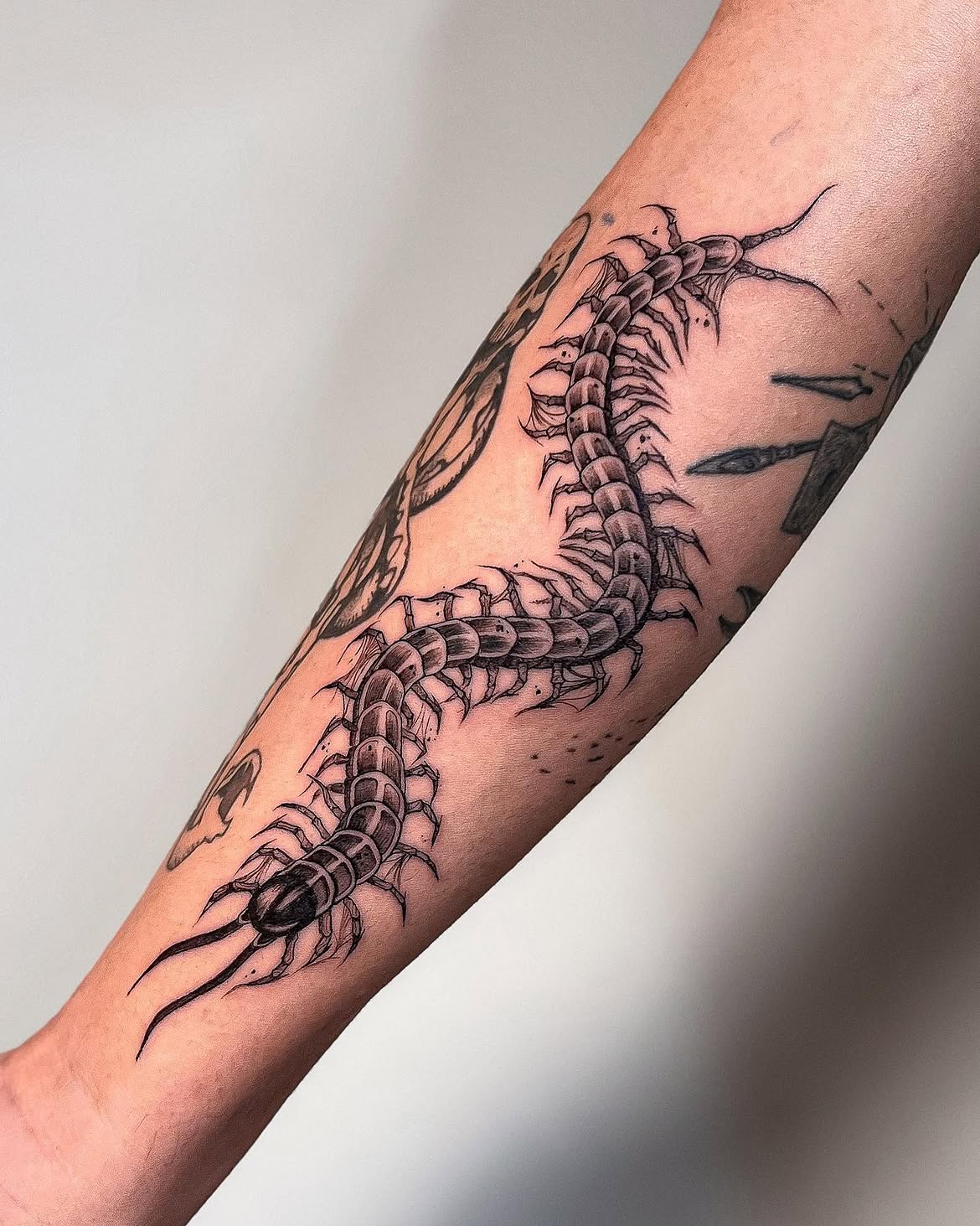 30 Centipede Tattoo Ideas 2026: Dark, Traditional and Blackwork Designs