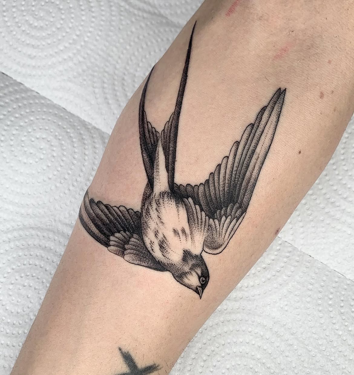 28 Sparrow Tattoo Ideas 2026: Fine Line, Traditional and Meaningful Designs