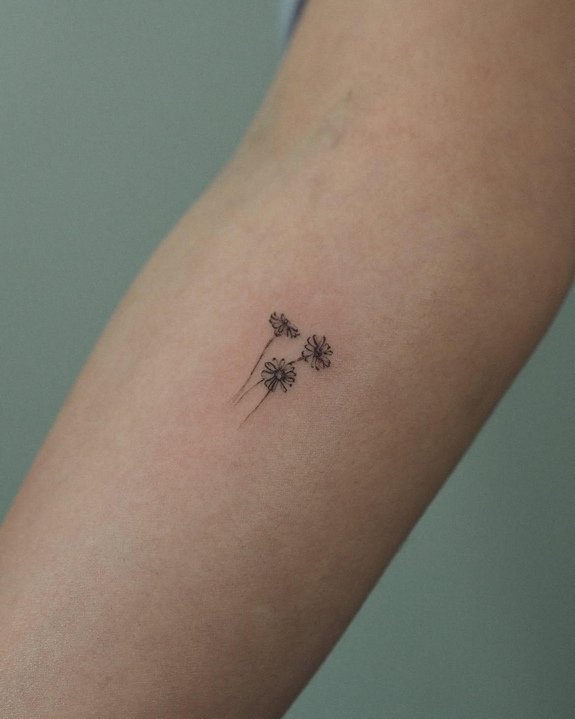 29 Daisy Tattoo Ideas 2026: Beautiful Designs Full of Meaning, Simplicity, and Timeless Charm