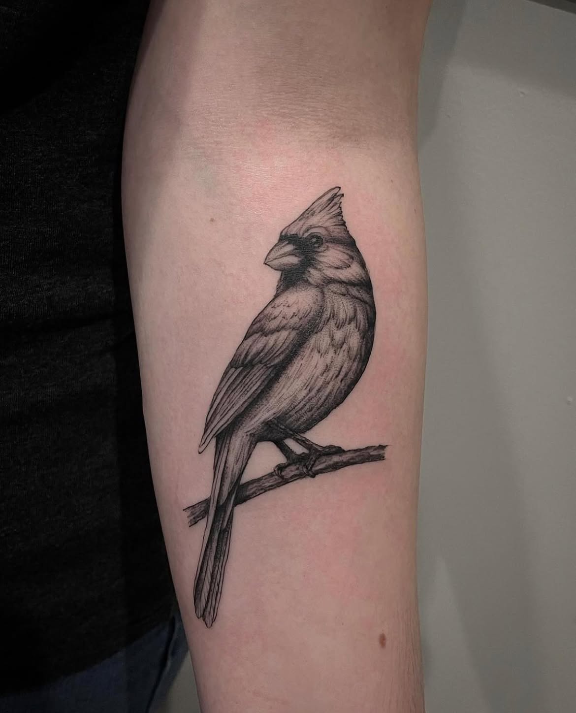 29 Cardinal Tattoo Ideas 2026: Beautiful Red Bird Designs Full of Meaning