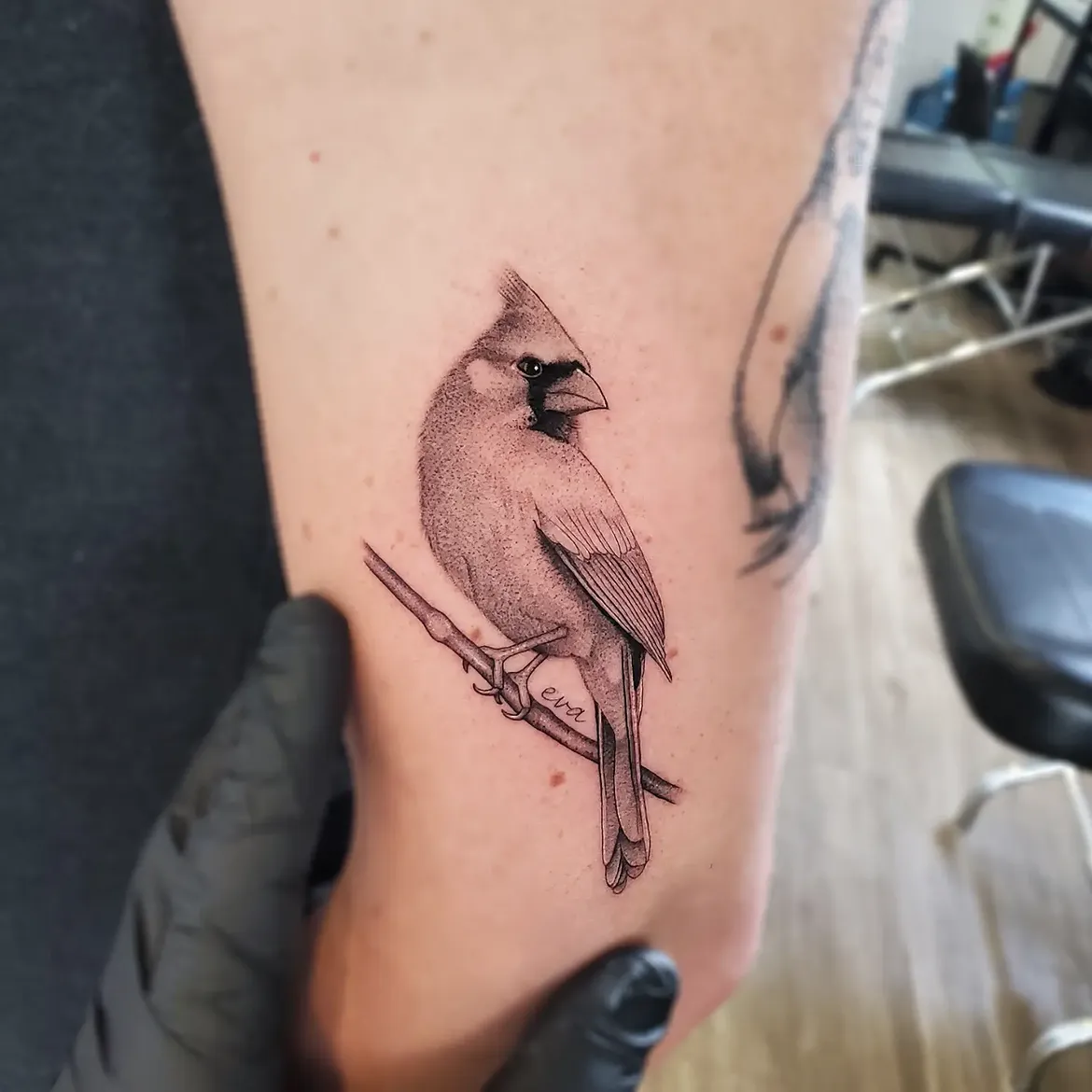 29 Cardinal Tattoo Ideas 2026: Beautiful Red Bird Designs Full of Meaning