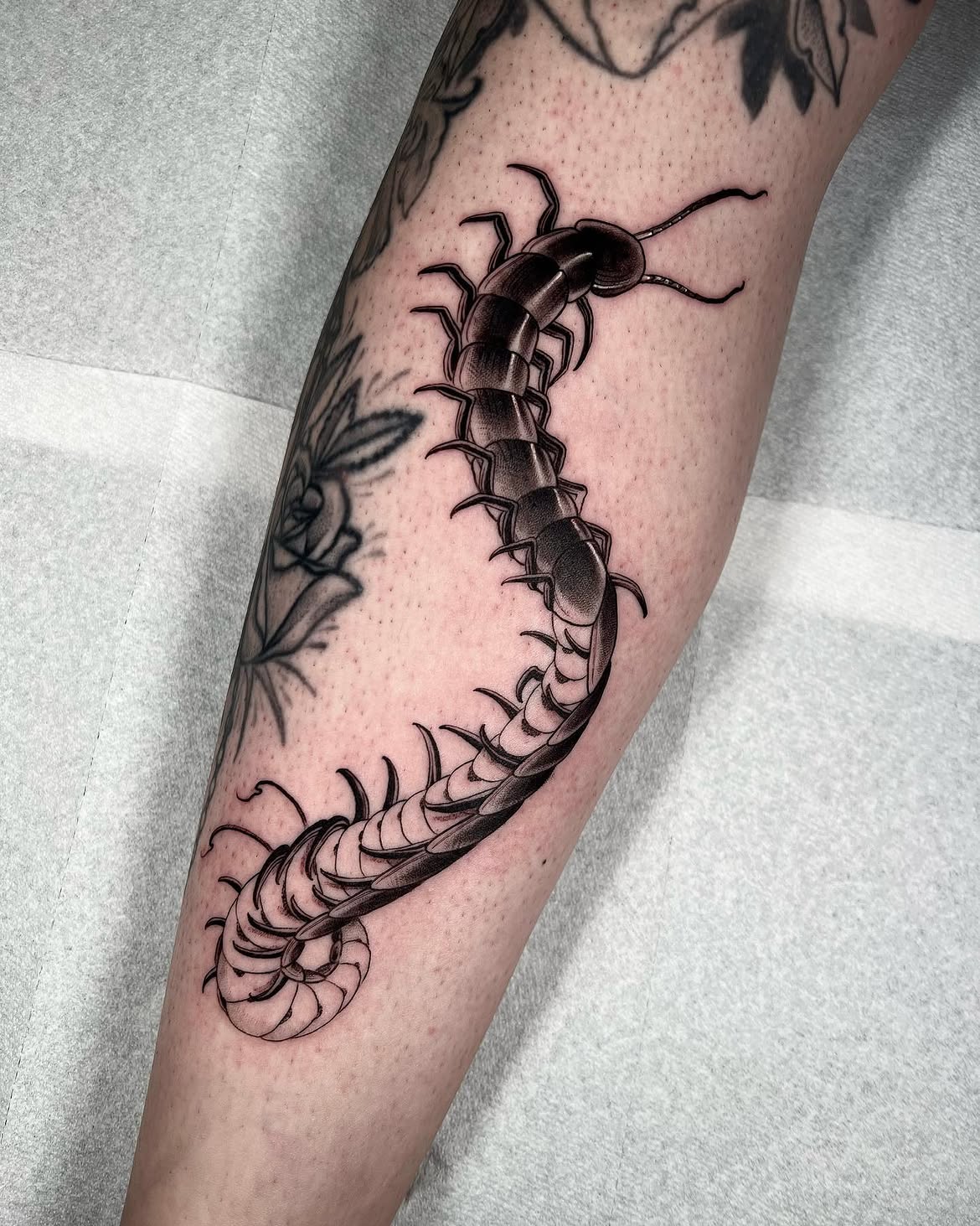 30 Centipede Tattoo Ideas 2026: Dark, Traditional and Blackwork Designs
