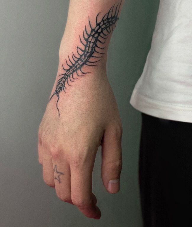 30 Centipede Tattoo Ideas 2026: Dark, Traditional and Blackwork Designs