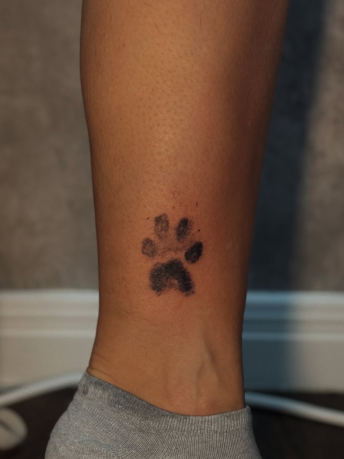31 Paw Print Tattoo Ideas 2026: Heartwarming Designs That Celebrate Your Furry Best Friend