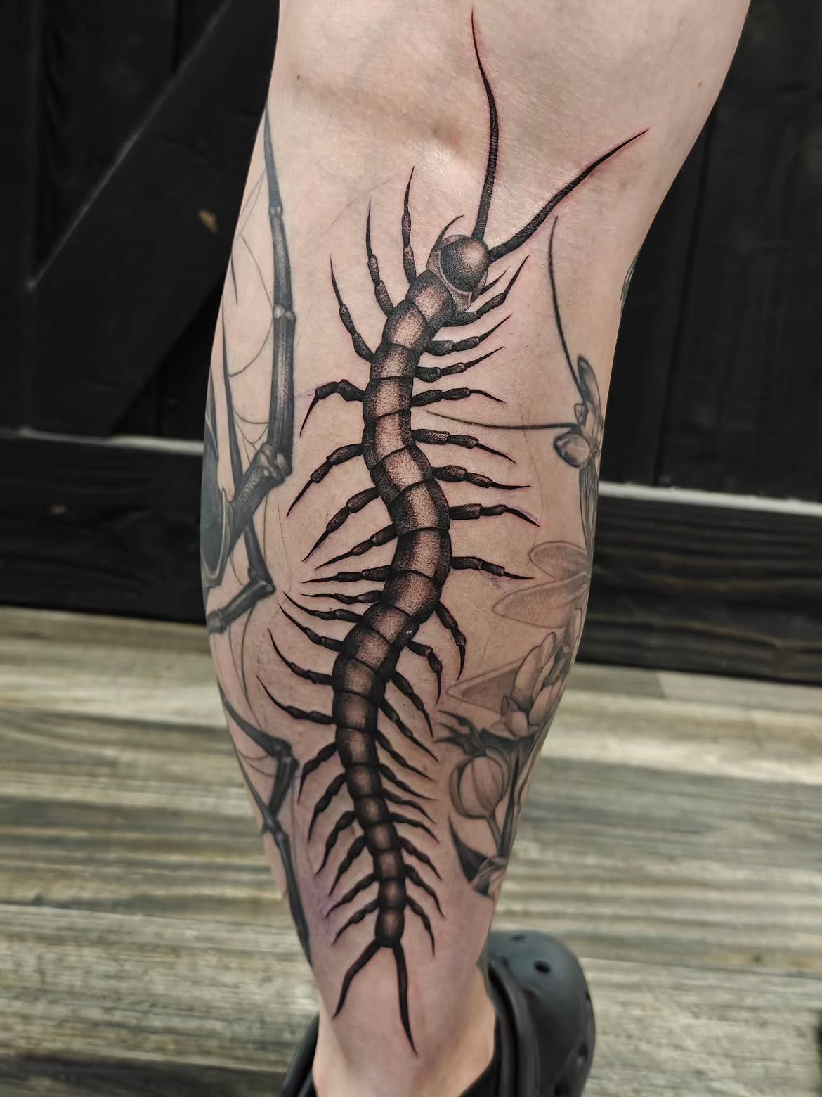 30 Centipede Tattoo Ideas 2026: Dark, Traditional and Blackwork Designs