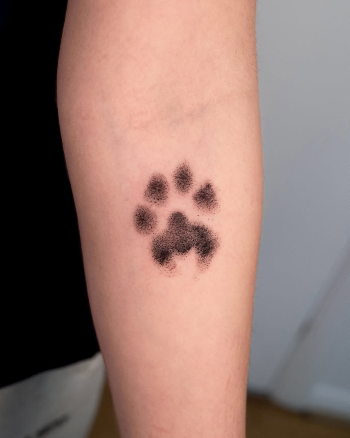 31 Paw Print Tattoo Ideas 2026: Heartwarming Designs That Celebrate Your Furry Best Friend